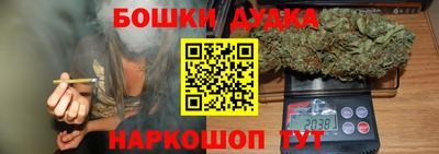 индика Коммунар