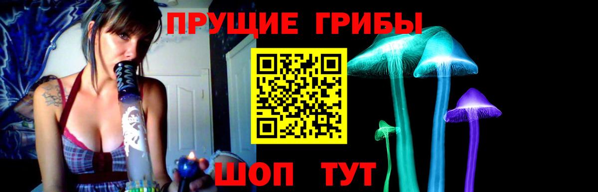 Псилоцибиновые грибы Cubensis  Псилоцибиновые грибы мицелий  Красноуфимск  Вход с VPN 